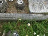 image of grave number 202607